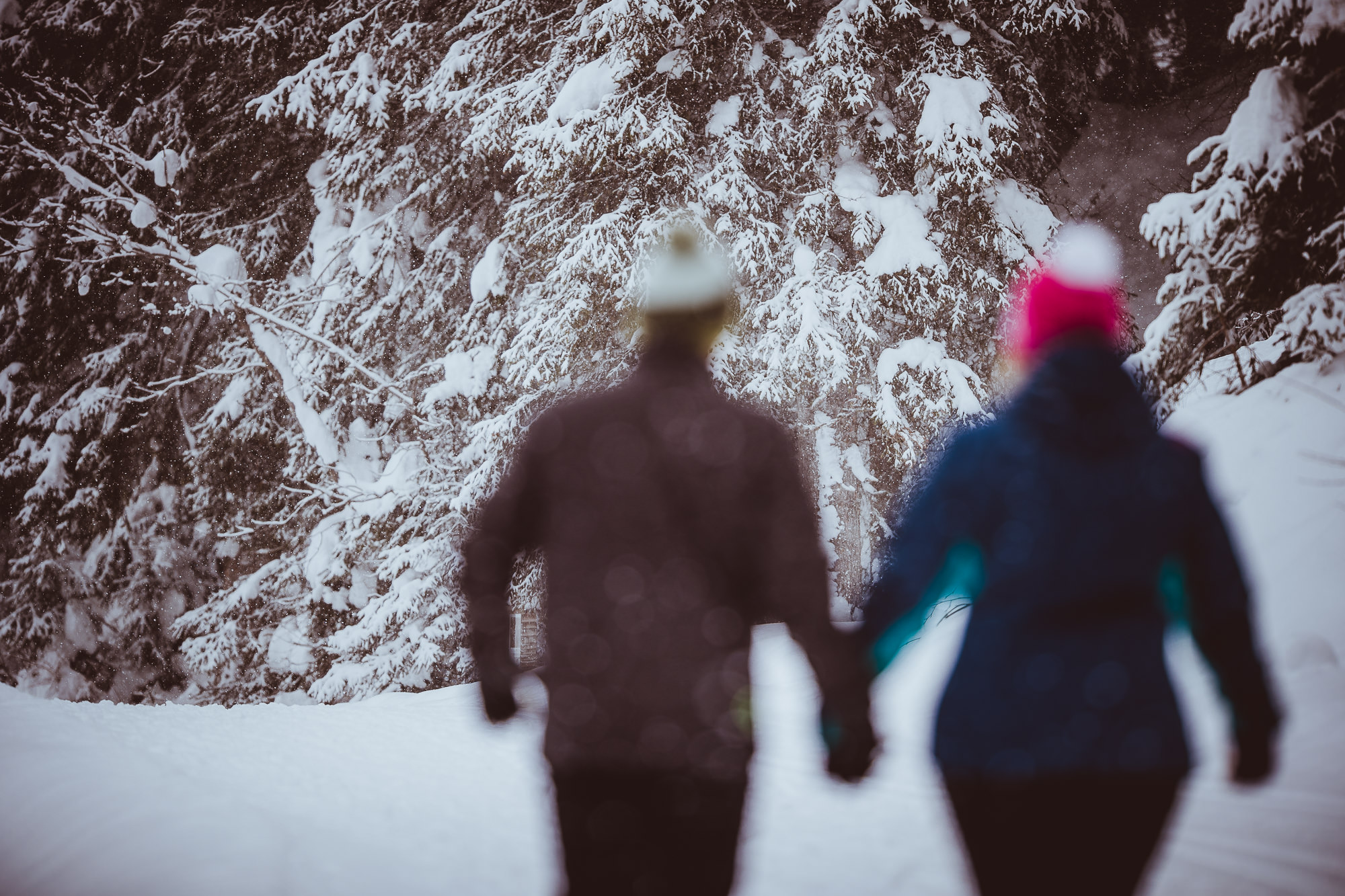 Export x3 1DX28949 Verlobungsfotoshooting 2018 Anna & Dominik